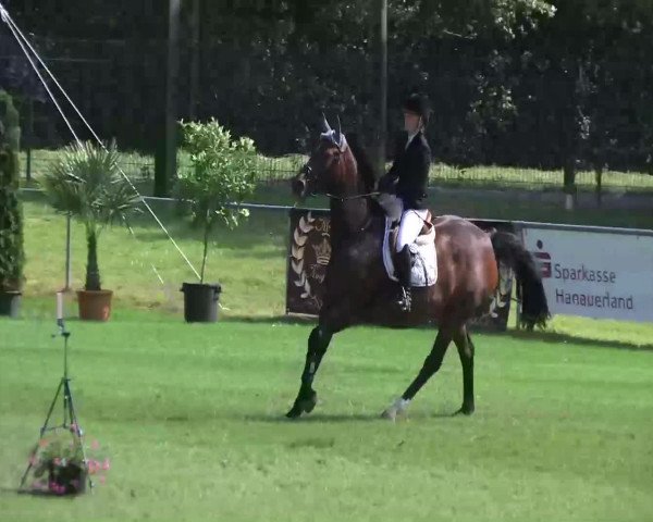 Sommerturnier Legelshurst 2014