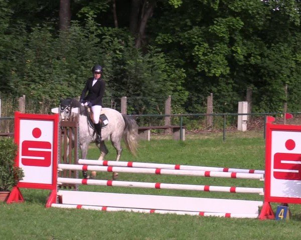 Reitturnier Limbach-Oberfrohna 2025