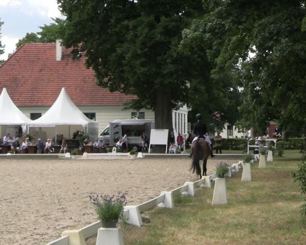 Reitturnier Redefin 2025