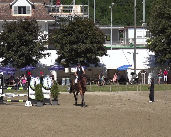Reitturnier Kandersteg 2025