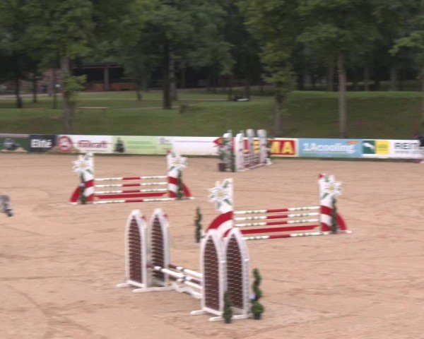Reitturnier Stadl-Paura 2025