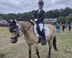 dressage horse Graciéé H (German Riding Pony, 2014, from Golden State 2)