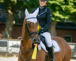 broodmare Sacre Soleilé (Trakehner, 2016, from High Motion 2)