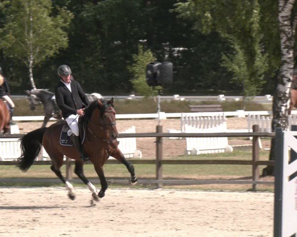 Reitturnier Westergellersen 2025