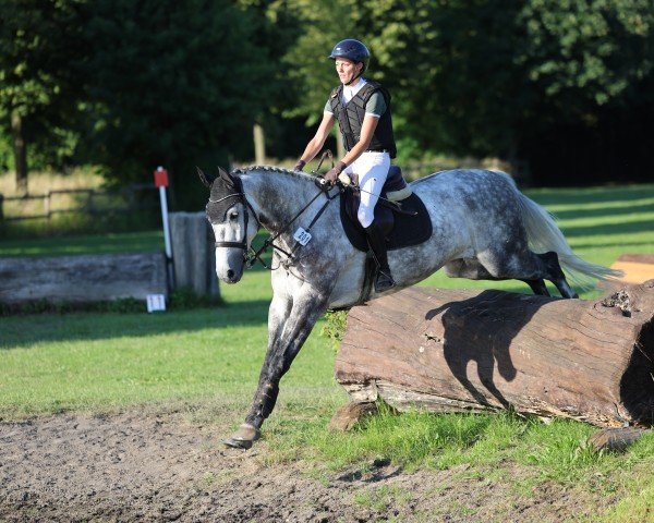 Springpferd Catching Moonlight (Westfale, 2019, von Catch)