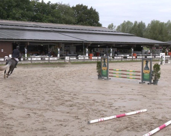 Reitturnier Münster-Roxel 2025