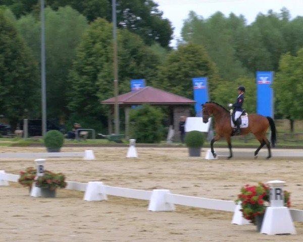 Reitturnier Münster-Roxel 2025