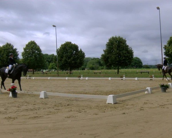 Reitturnier Münster-Roxel 2025