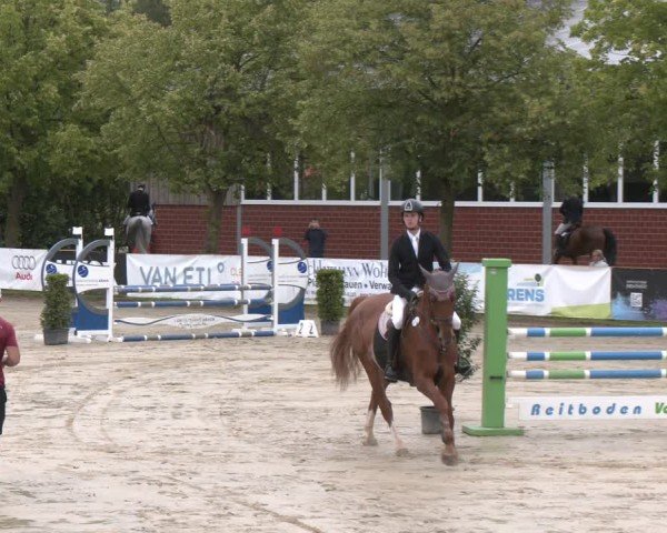 Reitturnier Münster-Roxel 2025