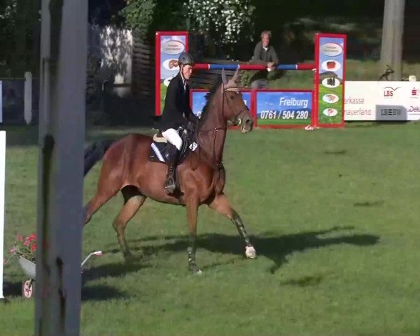 Sommerturnier Legelshurst 2014