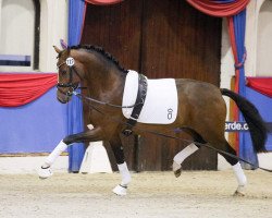 Dressurpferd Fridolin Farbenfroh (Oldenburger, 2016, von For Romance I)