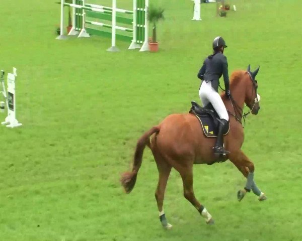 Sommerturnier Legelshurst 2014