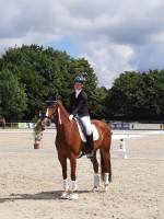 dressage horse Sir Sparrow (Oldenburg, 2020, from Sensation)
