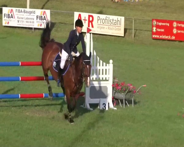 Sommerturnier Legelshurst 2014