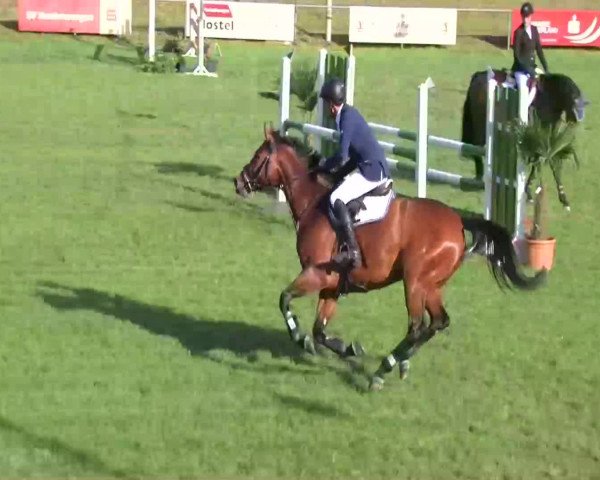 Sommerturnier Legelshurst 2014