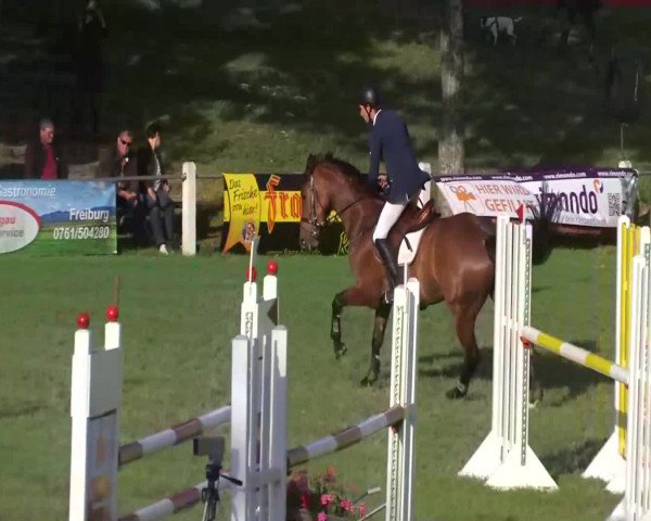 Sommerturnier Legelshurst 2014