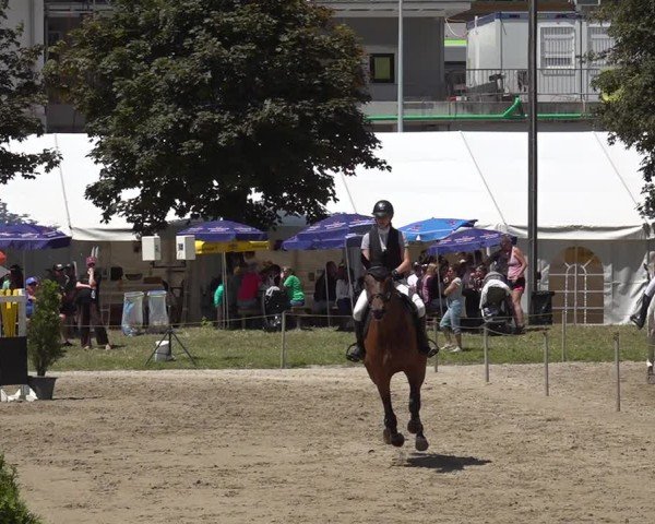 Reitturnier Kandersteg 2025