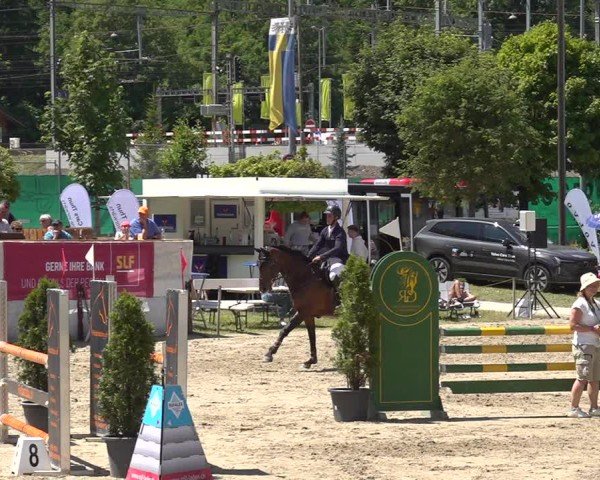 Reitturnier Kandersteg 2025