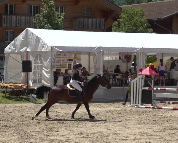 Reitturnier Kandersteg 2025