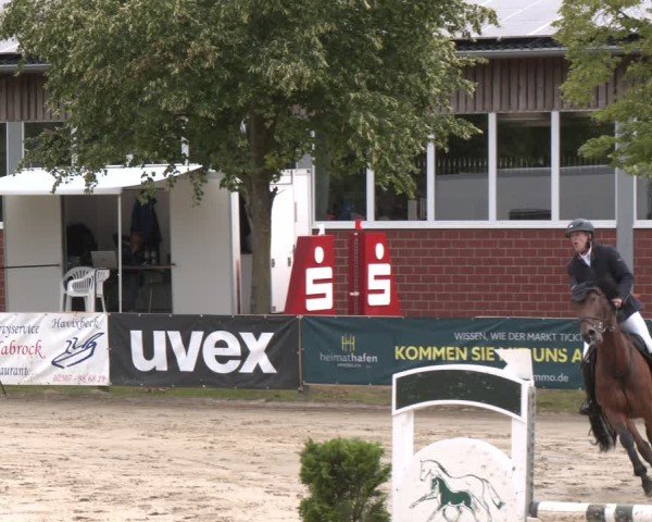 Reitturnier Münster-Roxel 2025