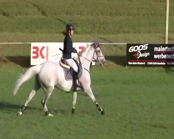 Sommerturnier Legelshurst 2014