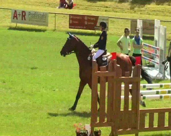 Sommerturnier Legelshurst 2014