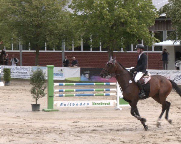 Reitturnier Münster-Roxel 2025