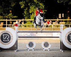 jumper Jerico (Polish Warmblood, 2008, from Wieland)