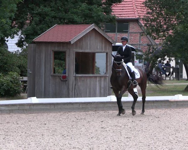 Reitturnier Redefin 2025