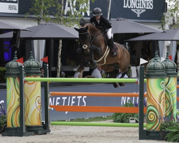 jumper Detective Vive Z (Zangersheide riding horse, 2017, from Dominator 2000 Z)