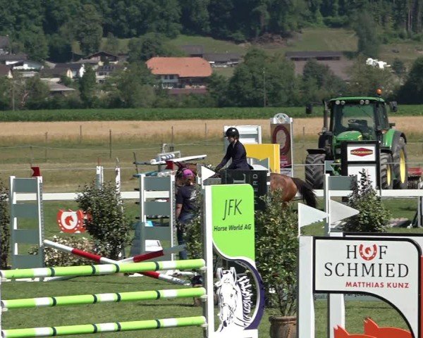 Reitturnier Büren an der Aare 2025