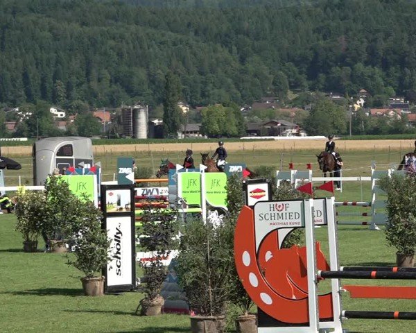 Reitturnier Büren an der Aare 2025