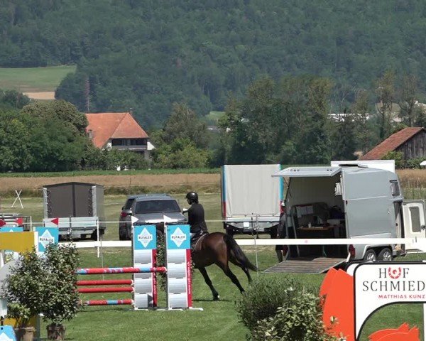 Reitturnier Büren an der Aare 2025