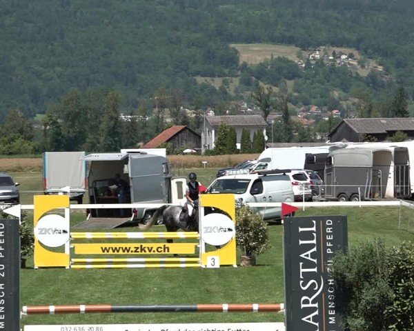 Reitturnier Büren an der Aare 2025