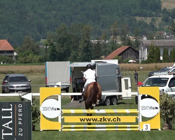 Reitturnier Büren an der Aare 2025