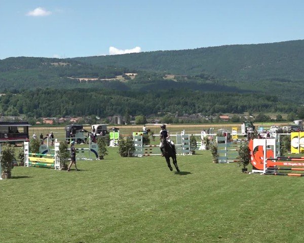 Reitturnier Büren an der Aare 2025