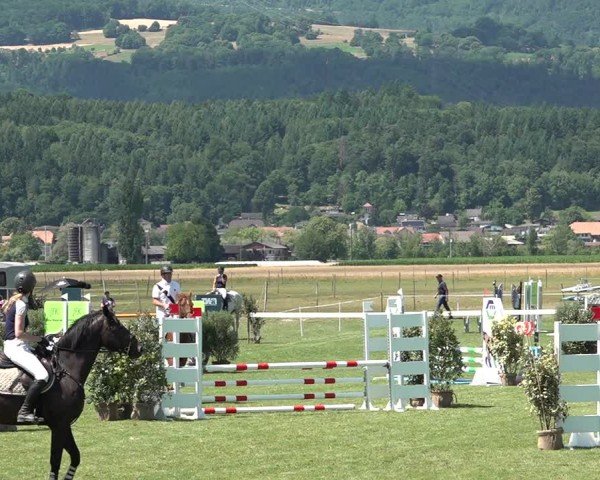 Reitturnier Büren an der Aare 2025