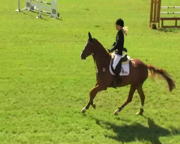 Sommerturnier Legelshurst 2014