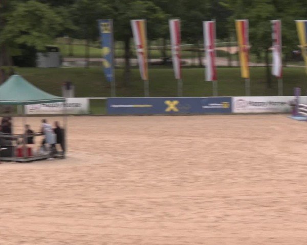 Reitturnier Stadl-Paura 2025