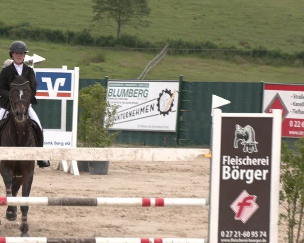 Reitturnier Lindlar-Süttenbach 2025