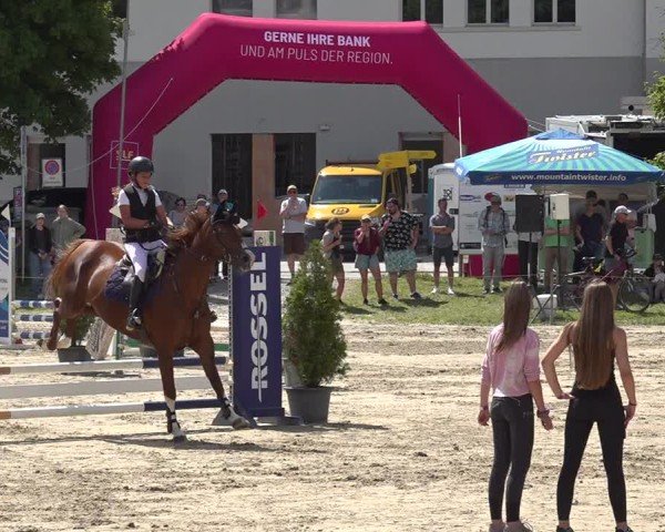Reitturnier Kandersteg 2025