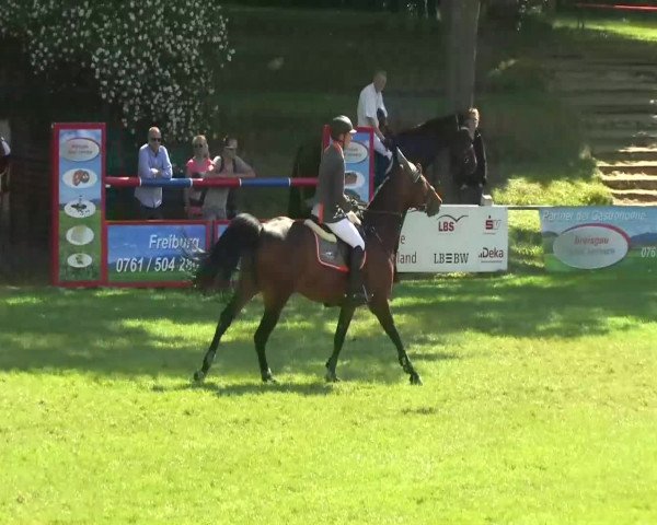Sommerturnier Legelshurst 2014