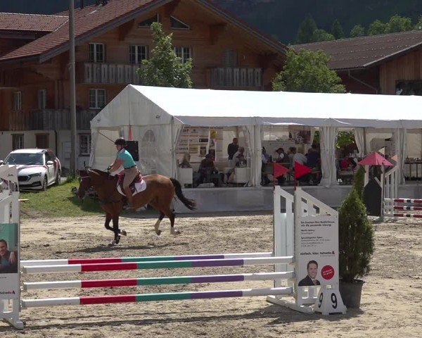 Reitturnier Kandersteg 2025