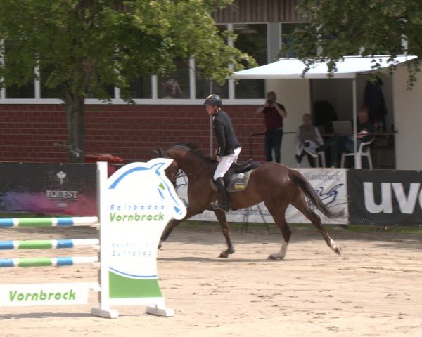 Reitturnier Münster-Roxel 2025
