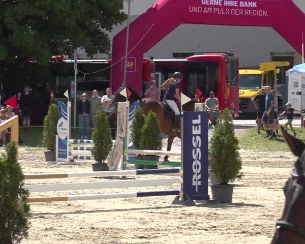 Reitturnier Kandersteg 2025