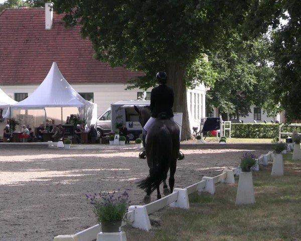 Reitturnier Redefin 2025