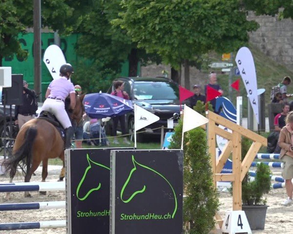 Reitturnier Kandersteg 2025