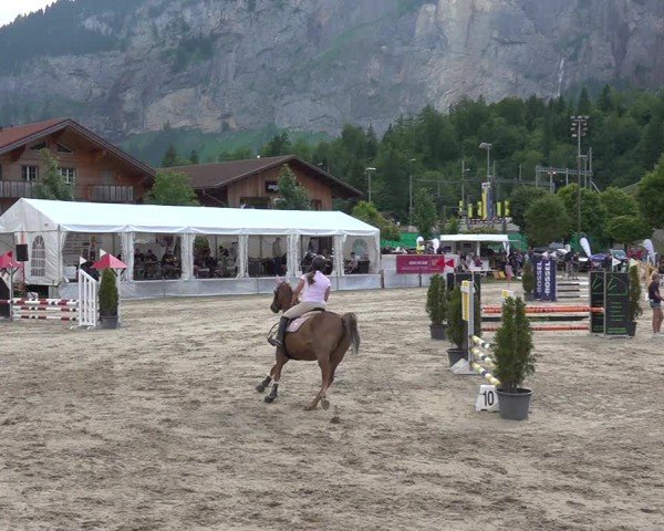 Reitturnier Kandersteg 2025
