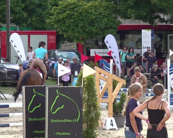 Reitturnier Kandersteg 2025