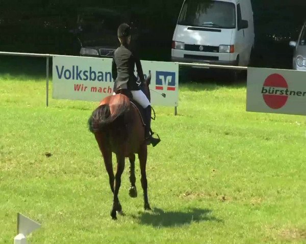 Sommerturnier Legelshurst 2014
